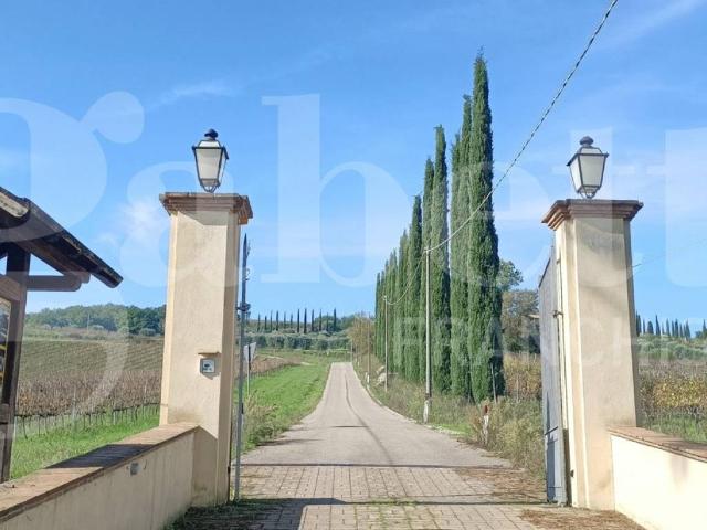 Locale Commerciale in vendita a Amelia, Umbria