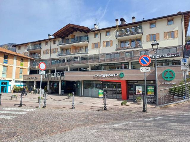 Locale Commerciale in vendita a Comunità territoriale della Val di Fiemme, Daiano