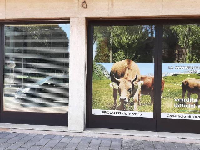 Locale Commerciale in vendita a Borgo San Zeno, Montagnana