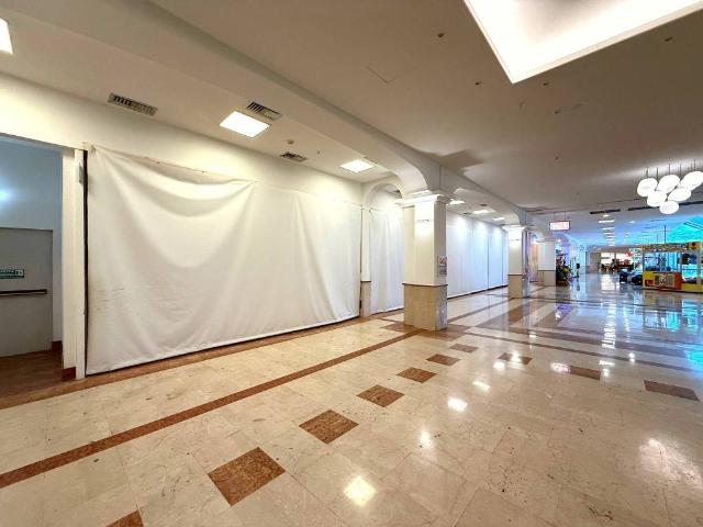 Locale Commerciale in vendita a Barriera Vecchia-San Giacomo, Villa Opicina