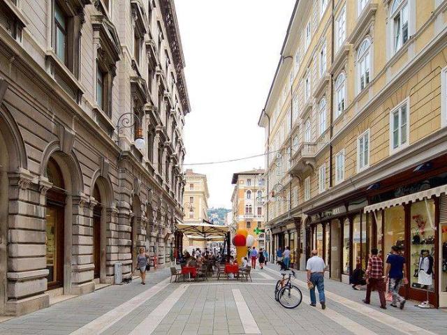 Locale Commerciale in vendita a Città Nuova-Barriera Nuova-San Vito-Città Vecchia, Villa Opicina
