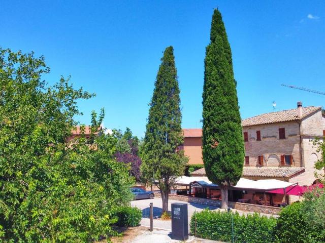 Locale Commerciale in vendita a Assisi, Umbria
