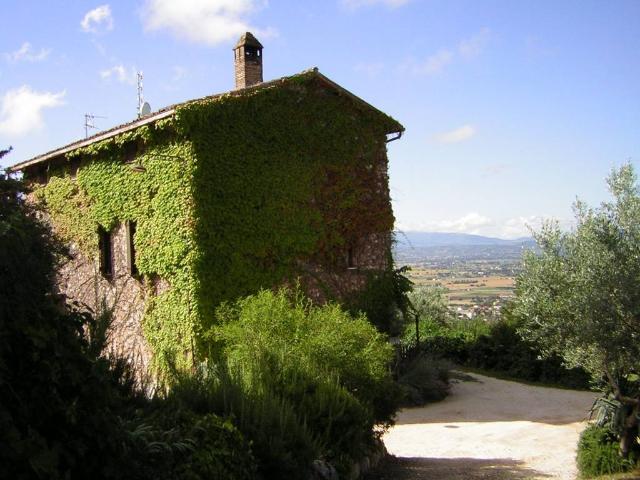 Locale Commerciale in vendita a Capodacqua, Assisi