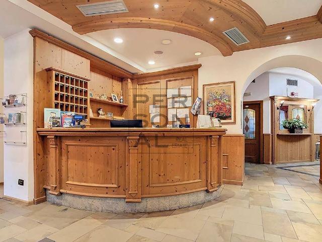 Locale Commerciale in vendita a Comunità Alta Valsugana e Bersntol, Baselga Di Piné