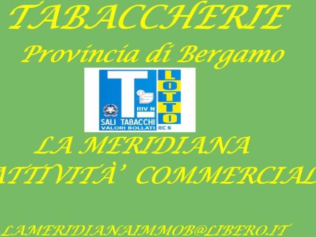Locale Commerciale in vendita a Bergamo, Lombardia