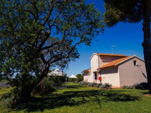 Locale Commerciale in vendita a Bibbona, Toscana