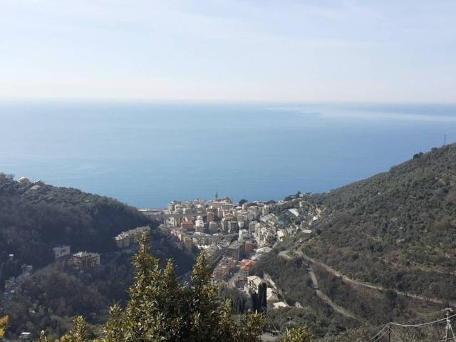 Locale Commerciale in vendita a Bogliasco, Liguria