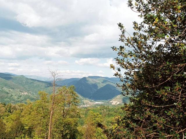 Locale Commerciale in vendita a Unione dei comuni Media Valle del Serchio, Borgo A Mozzano