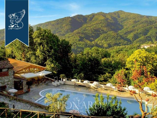 Locale Commerciale in vendita a Unione dei comuni Media Valle del Serchio, Borgo A Mozzano