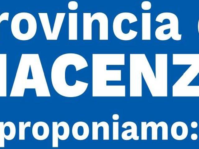 Locale Commerciale in vendita a Busseto, Reggio Emilia