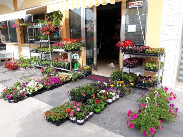 Locale Commerciale in vendita a Calvisano, Lombardia