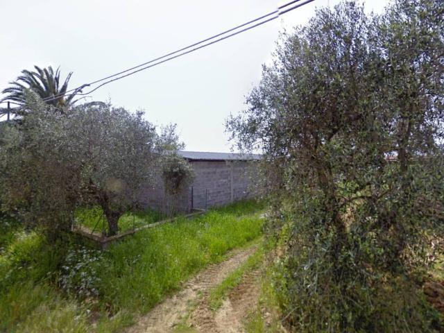 Locale Commerciale in vendita a Capalbio, Toscana