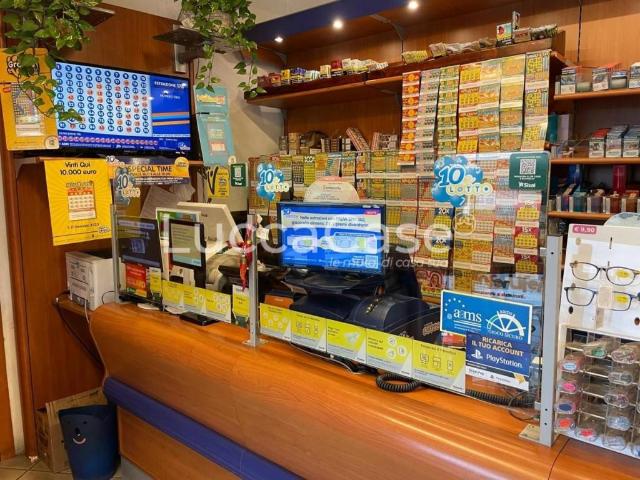 Locale Commerciale in vendita a Camigliano Santa Gemma, Capannori