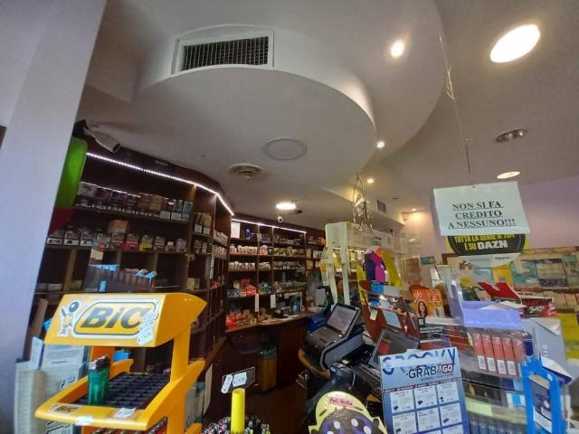 Locale Commerciale in vendita a Tofori, Capannori