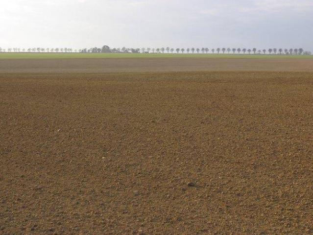 Locale Commerciale in vendita a Unione delle Terre d'Argine, Carpi