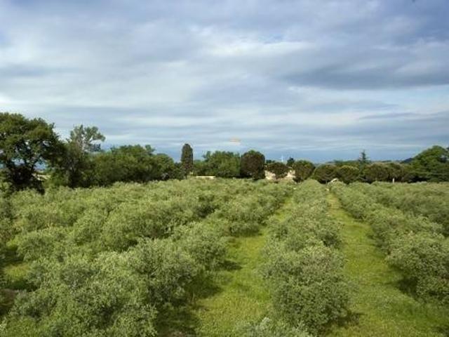 Locale Commerciale in vendita a Marche, Pesaro E Urbino