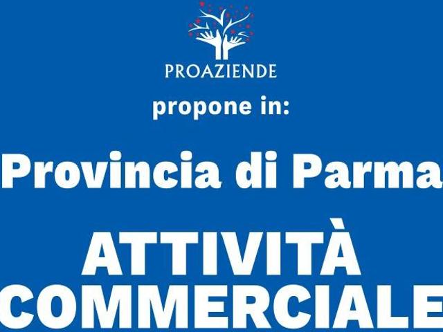 Locale Commerciale in vendita a Casalmaggiore, Lombardia