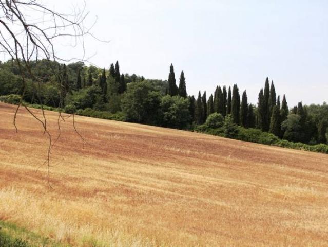 Locale Commerciale in vendita a Castel Viscardo, Umbria