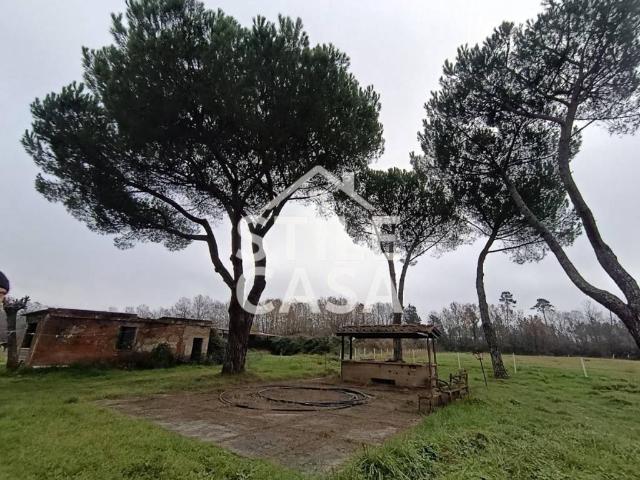 Locale Commerciale in vendita a Unione dei Comuni Circondario dell'Empolese Valdelsa, Castelfranco Di Sotto