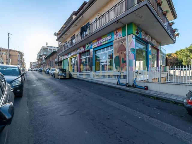 Locale Commerciale in vendita a Picanello-Ognina-Barriera-Canalicchio, Catania