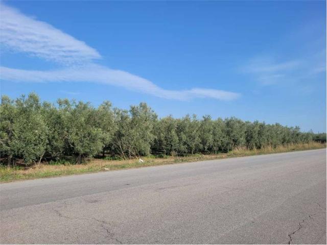 Locale Commerciale in vendita a Puglia, Foggia