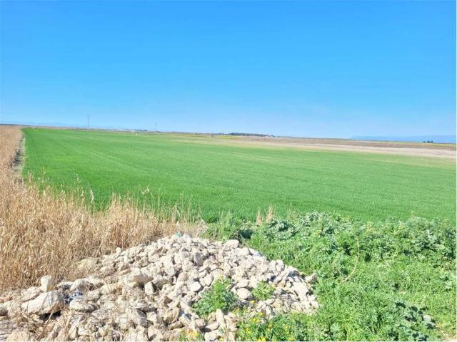 Locale Commerciale in vendita a Puglia, Foggia