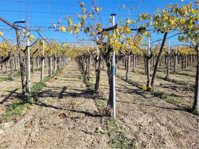 Locale Commerciale in vendita a Puglia, Foggia