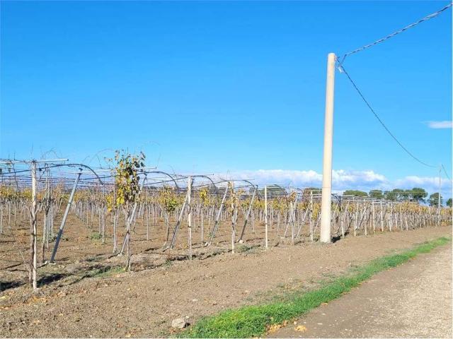 Locale Commerciale in vendita a Puglia, Foggia