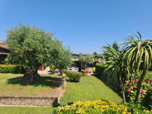 Locale Commerciale in vendita a Comacchio, Reggio Emilia