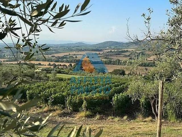 Locale Commerciale in vendita a Empoli, Firenze