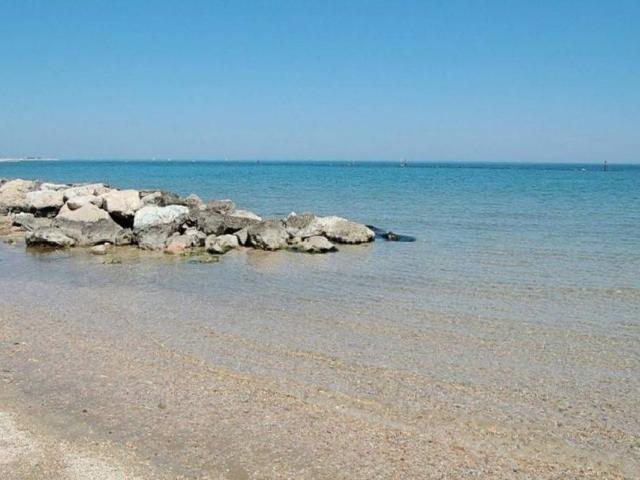 Locale Commerciale in vendita a Gimarra, Marche