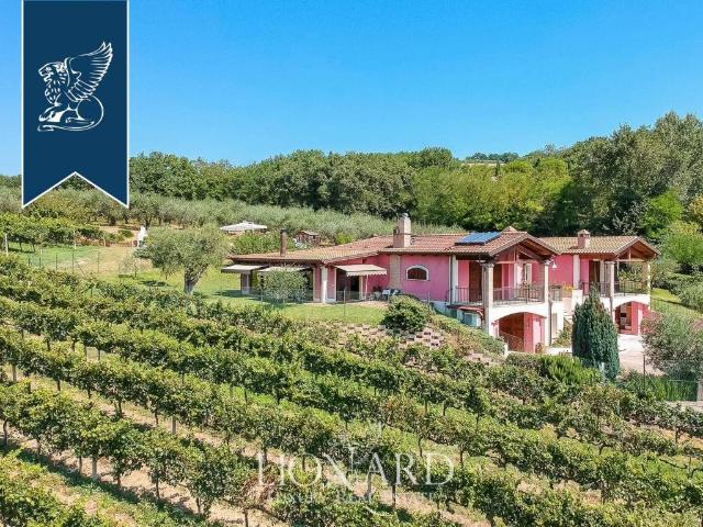 Locale Commerciale in vendita a Gimarra, Marche