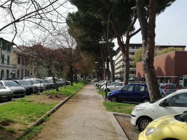Locale Commerciale in vendita a Quartiere 2, Firenze