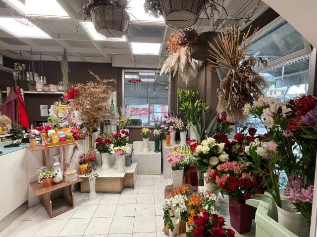 Locale Commerciale in vendita a Unione di Comuni della Romagna Forlivese, Quattro