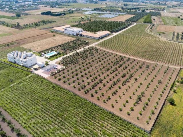 Locale Commerciale in vendita a Puglia, Lecce