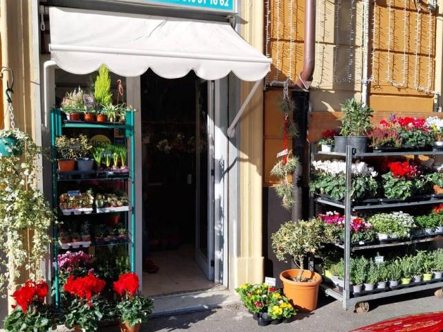 Locale Commerciale in vendita a Bassa Val Bisagno, Serra Riccò
