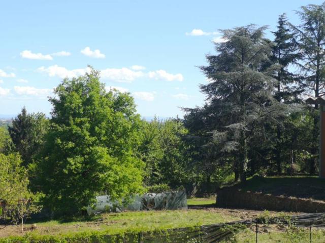 Locale Commerciale in vendita a Unione Montana di Comuni delle Valli di Lanzo, Ceronda e Casternone, Piemonte