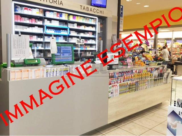 Locale Commerciale in vendita a Gradisca D'isonzo, Friuli-Venezia Giulia