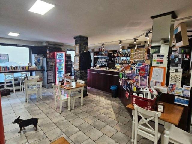 Locale Commerciale in vendita a Lierna, Lombardia