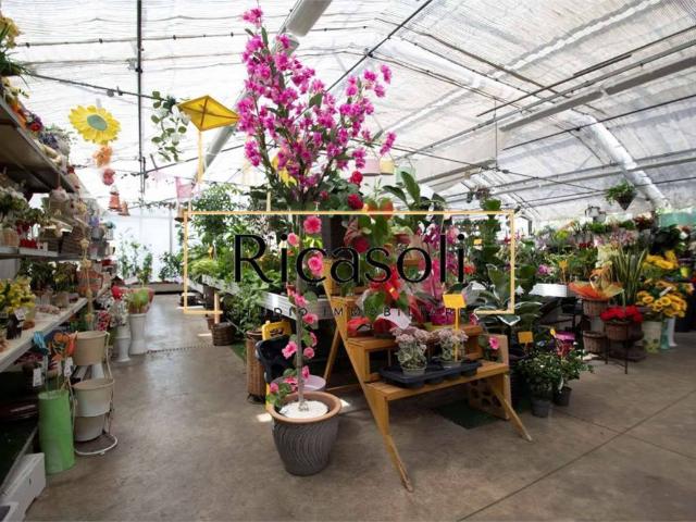 Locale Commerciale in vendita a Livorno