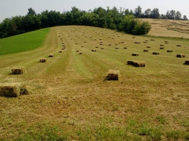 Locale Commerciale in vendita a Lu e Cuccaro Monferrato, Piemonte