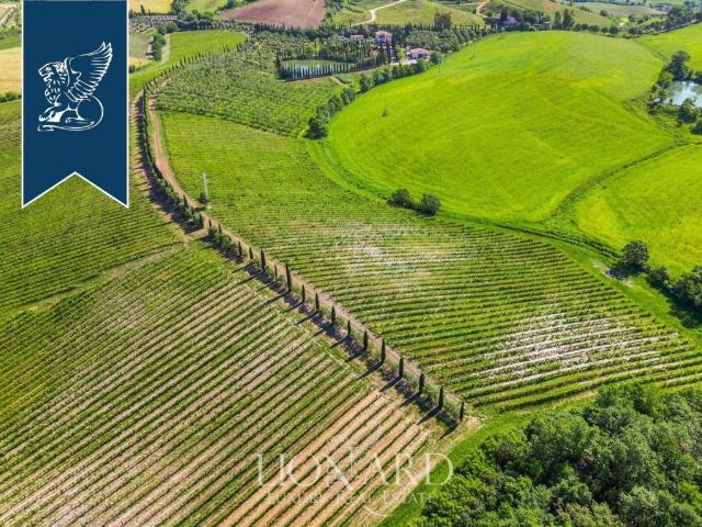 Locale Commerciale in vendita a Unione di Comuni Montani Colline del Fiora, Manciano