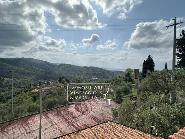 Locale Commerciale in vendita a Bargecchia, Massarosa