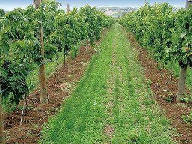 Locale Commerciale in vendita a Olme, Mogliano Veneto