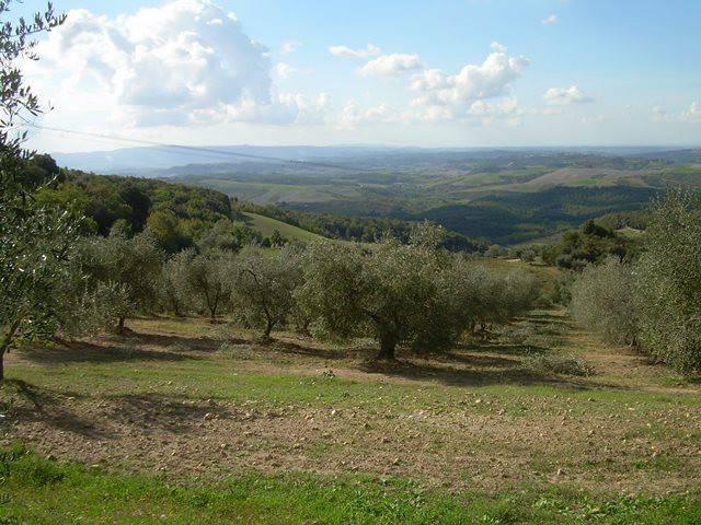 Locale Commerciale in vendita a Unione dei Comuni Circondario dell'Empolese Valdelsa, Montaione