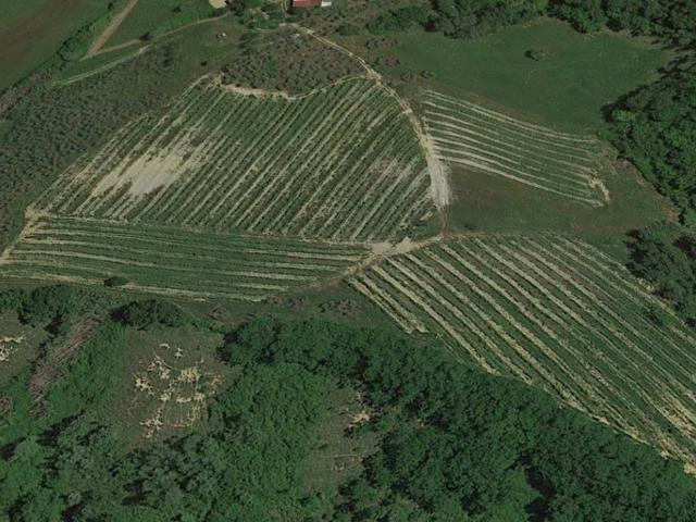 Locale Commerciale in vendita a Unione dei Comuni Circondario dell'Empolese Valdelsa, Montaione