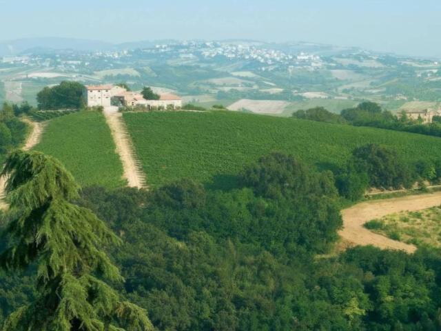 Locale Commerciale in vendita a Marche, Ancona