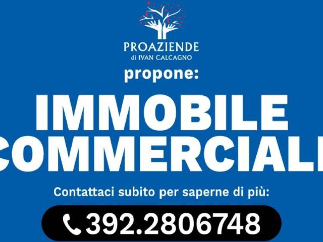 Locale Commerciale in vendita a Castelvetro Piacentino, Reggio Emilia