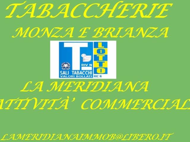 Locale Commerciale in vendita a Sant'Albino, Monza