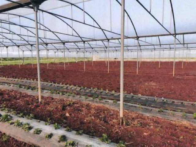 Locale Commerciale in vendita a Puglia, Lecce